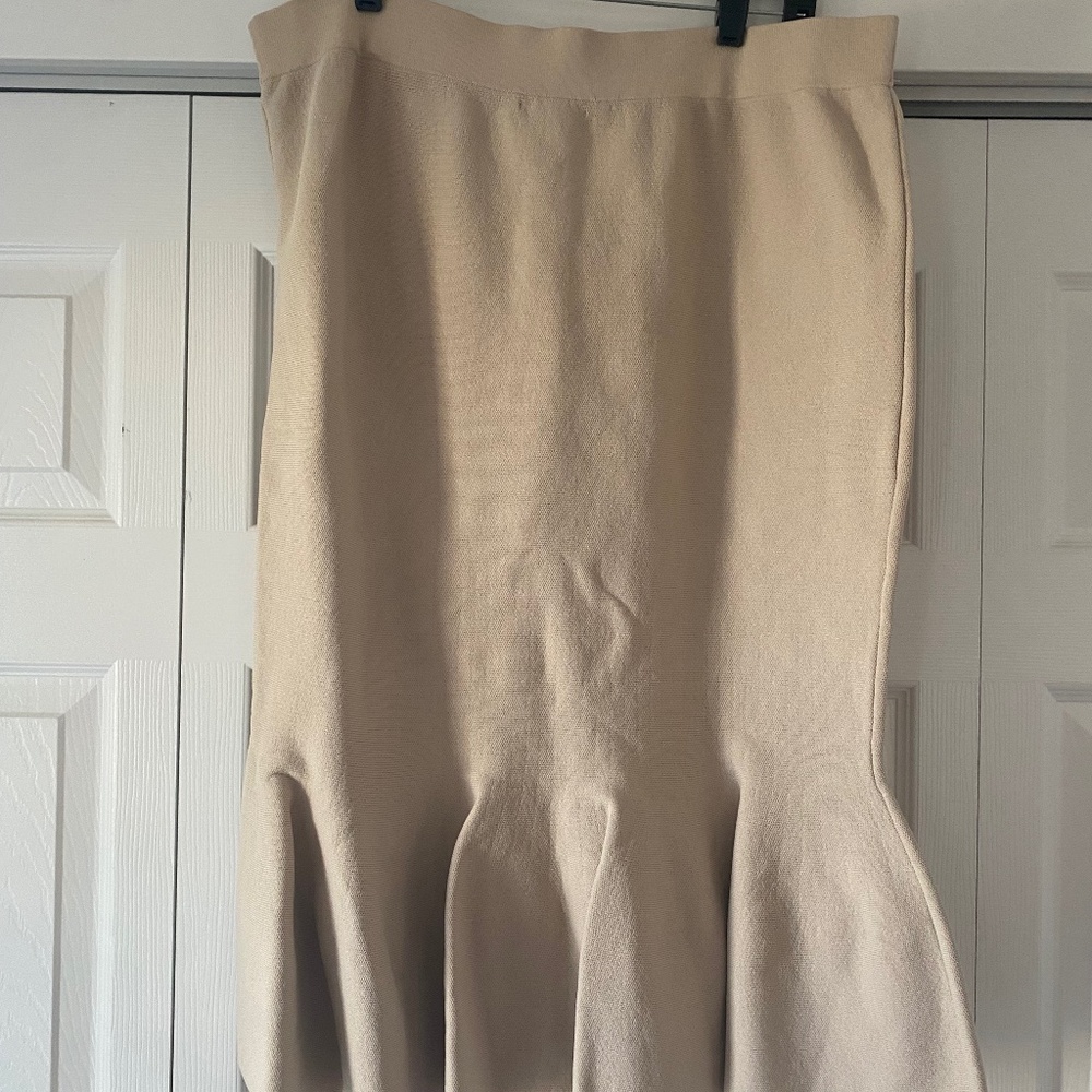 Eva Mended by New York and Company skirt